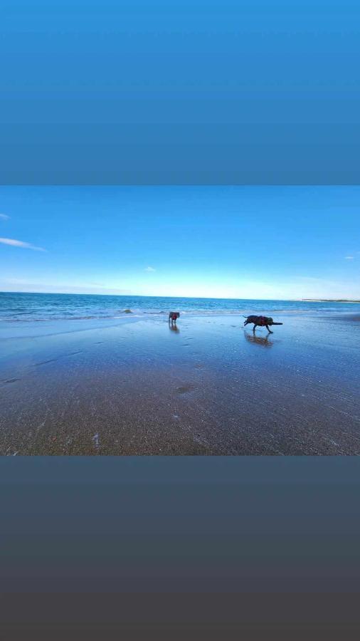 Beachbach16 - Kakanui Bagian luar foto